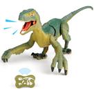 Dinossauro de controle remoto VERTOY Build Walking Velociraptor