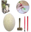 Dinossauro fosseis escavacao com 1 dino brilha no escuro + ovo de gesso e acessorios - DM BRASIL Dinossauro fosseis escavacao com 1 dino brilha no escuro + ovo de gesso e acessorios - DM BRASIL