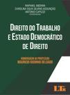 Direito do Trabalho e Estado Democrático de Direito paperback Raphael Miz Direito do Trabalho e Estado Democrático de Direito paperback Raphael Miz