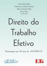 Direito do Trabalho Efetivo: Homenagem aos 30 Anos da Amatra 12 - LTR