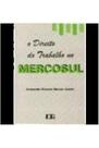 Direito do trabalho no mercosul, o