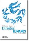 Direitos Humanos - Curso Elementar Direitos Humanos - Curso Elementar