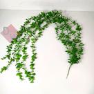Dischidia Planta Artificial PendenteArranjo Folha Permanente