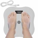 Disco de Torçao Equilibrio Digital Exercitador Yoga Perna Pilates Cintura Quadril Anti Estresse Relaxante Resistente