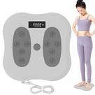 Disco De Torçao Equilibrio Twist Anti Estresse Exercitador Cintura Quadril Perna Yoga Pilates Exercicio Relaxante Academia Musculaçao