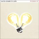 Disco de vinil Matador David Comes To Life Yellow
