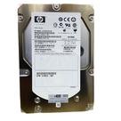 Disco Rígido Interno Hd Sas 300gb 3,5 15k Hp/seagate St33000657ss / Efo300farmu