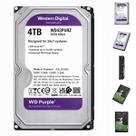 Disco Rígido WD Purple HD 4TB para CFTV WD40PURZ Intelbras
