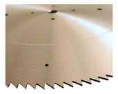 Disco Serra Para Podar Café 790x35x200z Cortec Cor Prateado