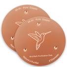 Discos de Cobre para Banho de Pássaros Bessny 10 cm, Kit com 2, Limpador Discos de Cobre para Banho de Pássaros Bessny 10 cm, Kit com 2, Limpador