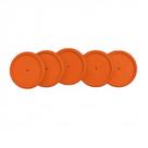 Discos + Elástico 31mm Laranja Neon G Caderno Inteligente 1 ed Discos + Elástico 31mm Laranja Neon G Caderno Inteligente 1 ed