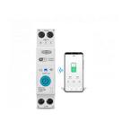 Disjuntor 2 Polos Casa Inteligente Wifi Alexa Google Home