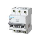 Disjuntor Tripolar Curva C 10a 3ka - Jw310e - Eletromar