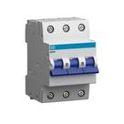 Disjuntor Tripolar WEG MDW-C Curva C 6A a 125A Trilho DIN 3P MODELO:125A 3P C