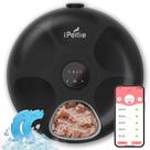 Dispensador Automático de Ração para Gatos iPettie Donuts Frost WiFi - 6 Refeições