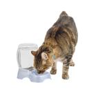 Dispensador de água Petmate Pet Cafe para cães e gatos 1L