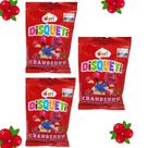 Disquete de Chocolate Sabor Cranberry 3 Pct 120g de Diversão