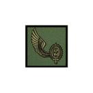Distintivo de Baixa Visibilidade - Estágio de operações aeromóveis