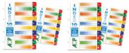 Divisoria P/ Fichario Colorida Plast Pvc 10 Unidades ACP C/2
