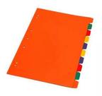 Divisoria Para Fichario Universitario 10 Div. Pvc Cores