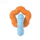 Dog Chew Toy TPR Dual Ring Brinquedo durável para limpeza de dentes Dog Chew Toy TPR Dual Ring Brinquedo durável para limpeza de dentes