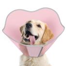 Dog Cone Supet após cirurgia Comfortable Neck Protect Pink M