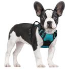 Dog Harness rabbitgoo No Pull, verde-azulado ajustável para cães pequenos Dog Harness rabbitgoo No Pull, verde-azulado ajustável para cães pequenos