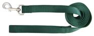 Dog Lead Hamilton Single Thick Nylon 2,54 cm x 1,83 m verde escuro
