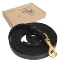 Dog Leash Guiding Star Leather de 6 pés para cães grandes e médios