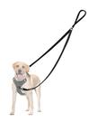Dog Leash PetBonus: controle de dois pontos para cães de médio porte