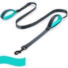 Dog Leash PuppyDoggy para cães grandes e médios 180 cm x 2 cm, verde