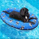 Dog Pool Float UJG 55x35" para cães pequenos, médios e grandes