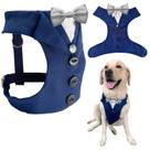 Dog Tuxedo Averyday Wedding Party, gravata borboleta, média, grande