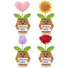 DOGMEM Conjunto de 4 Presentes Artesanais de Flores em Crochê para Professora DOGMEM Conjunto de 4 Presentes Artesanais de Flores em Crochê para Professora
