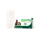 Doxiciclina Vetnil 50 mg 14 Comprimidos Para Cães e Gatos