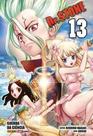 Dr. Stone Vol. 13