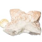 Drusa Cristal Bruto Quartzo Vela Natural Tipo B 90mm 164g