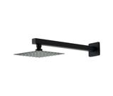 Ducha Black 15 Cm Inox Com Braço Parede Matte