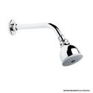 Ducha celite ganges 70 mm com braço parede - Celite - Metal