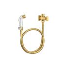 Ducha Higienica C/registro E Derivacao Polo Gold/gat.branco - Deca