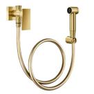 Ducha Higiênica com Registro e Derivação New Edge Ouro Escovado - Docol