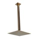 Ducha Inox Rose Golden 20x20 C/ Braço Suporte Teto 40 Cm