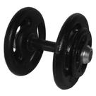 Dumbbell Pintado Pegada Emborrachada Academia Fitness 16kg