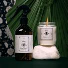 DUO Beetle - White Jasmine DUO Beetle - White Jasmine