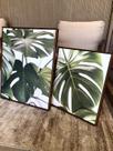 Duo De Quadros Botânicos Costela De Adão Natureza Canvas Moldura Flutuante Duo De Quadros Botânicos Costela De Adão Natureza Canvas Moldura Flutuante