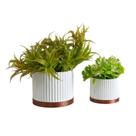Dupla Cachepot Cascata - Realce