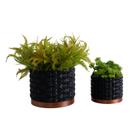 Dupla Cachepot Floral - Realce