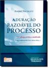 Duração Razoável do Processo, A Duração Razoável do Processo, A