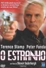 DVD O Estranho - Suspense Vingança Original