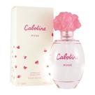 Eau de Toilette Rosa 100 ml Gray Kabotexi-nu